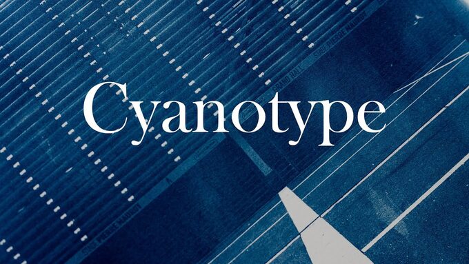 image cyanotype.jpg